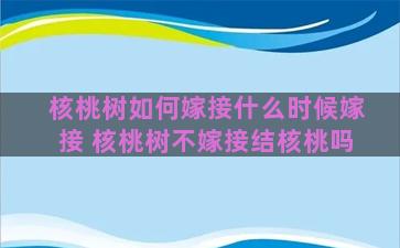 核桃树如何嫁接什么时候嫁接 核桃树不嫁接结核桃吗